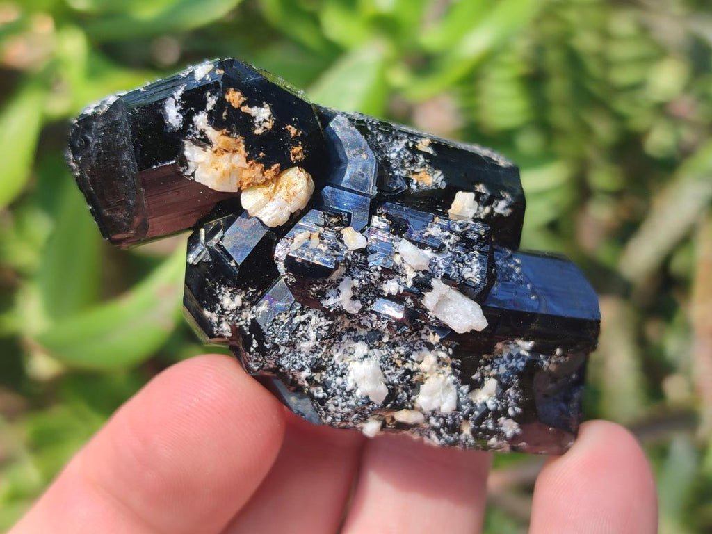 Natural Schorl Black Tourmaline Crystals and Clusters with Associated Minerals x 35 From Erongo, Namibia