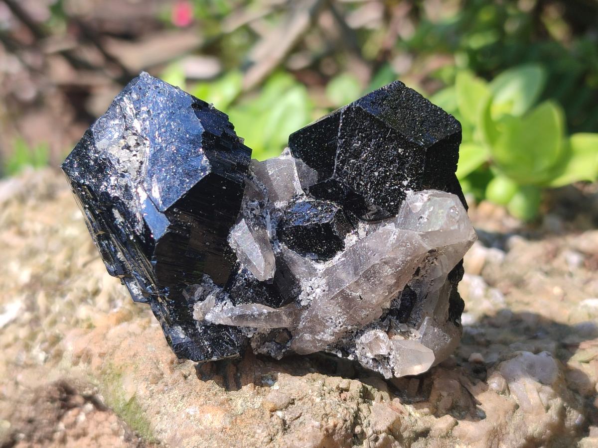 Natural Schorl Black Tourmaline Crystals and Clusters with Associated Minerals x 35 From Erongo, Namibia
