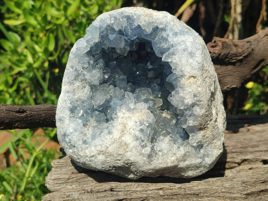 Natural Large Blue Celestite Geode Specimen x 1 From Sakoany, Madagascar