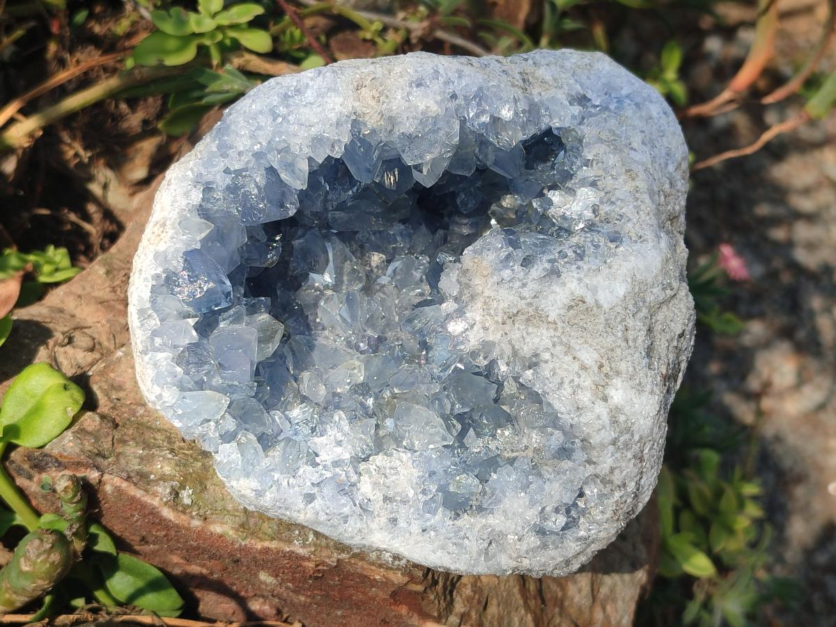 Natural Large Blue Celestite Geode Specimen x 1 From Sakoany, Madagascar