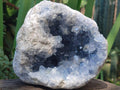 Natural Large Blue Celestite Geode Specimen x 1 From Sakoany, Madagascar