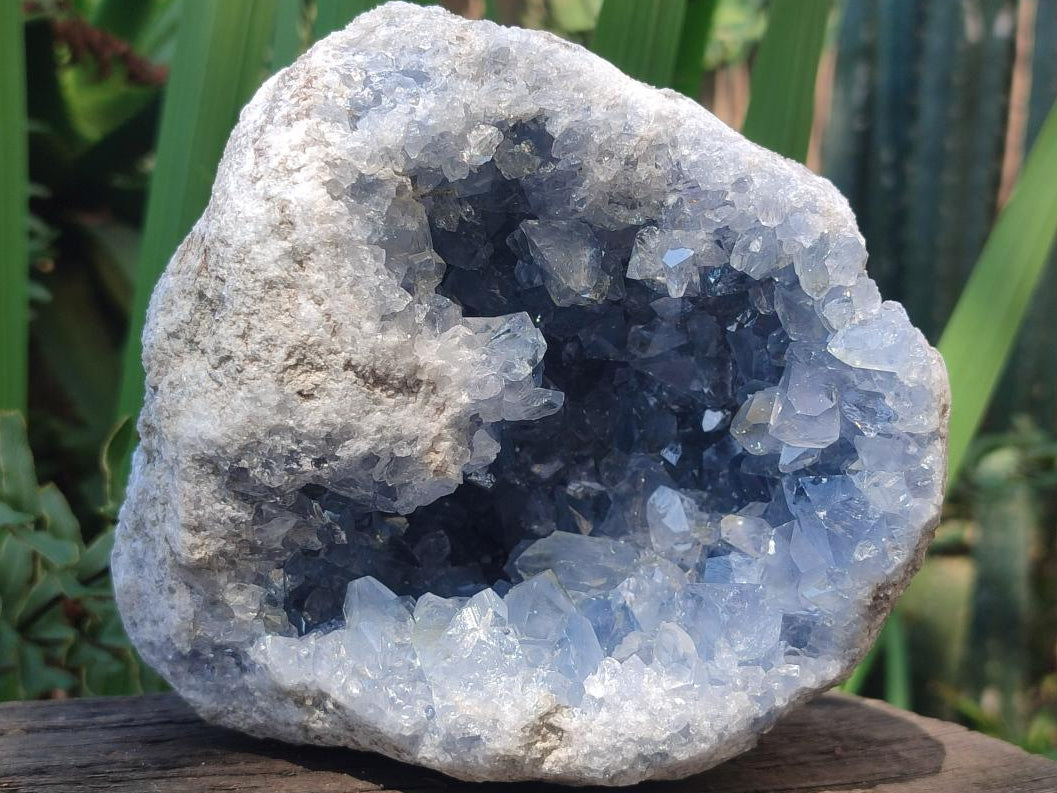 Natural Large Blue Celestite Geode Specimen x 1 From Sakoany, Madagascar