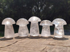 Polished Clear Quartz Mushrooms x 12 From Madagascar