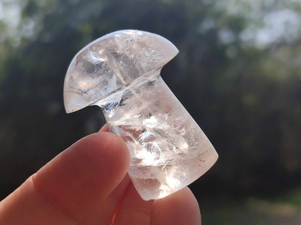 Polished Clear Quartz Mushrooms x 12 From Madagascar