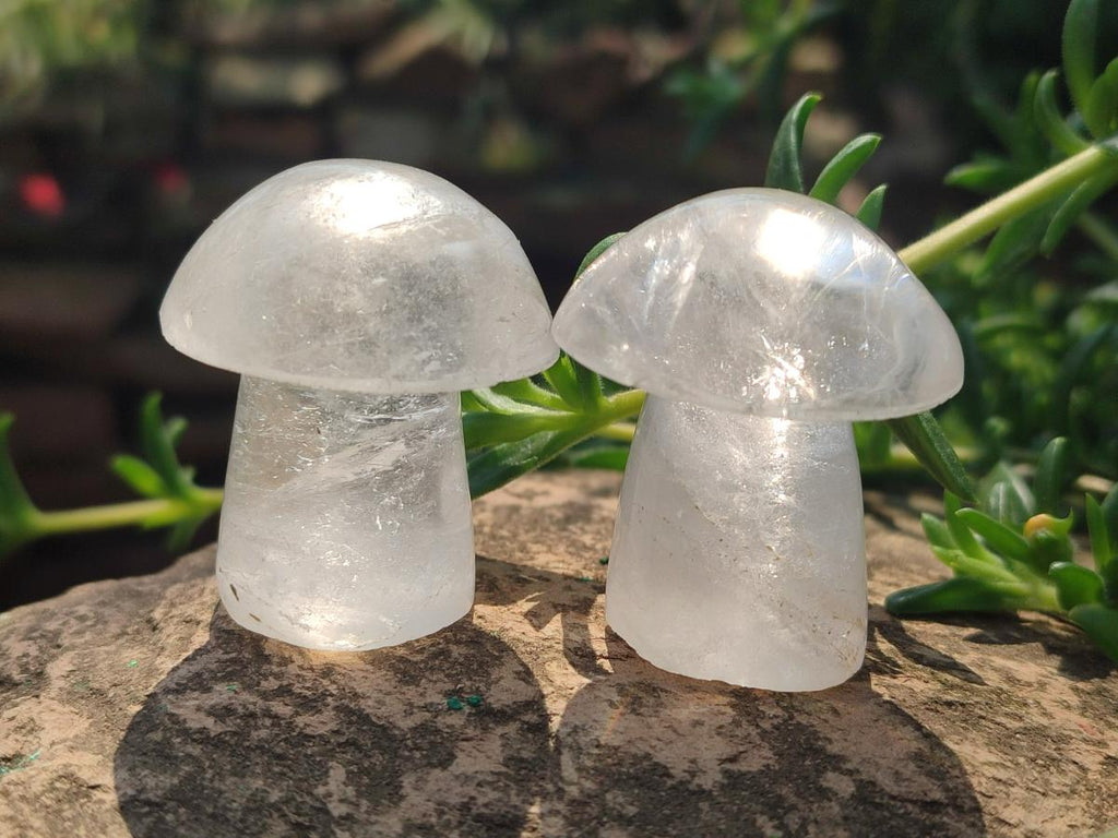 Polished Clear Quartz Mushrooms x 12 From Madagascar