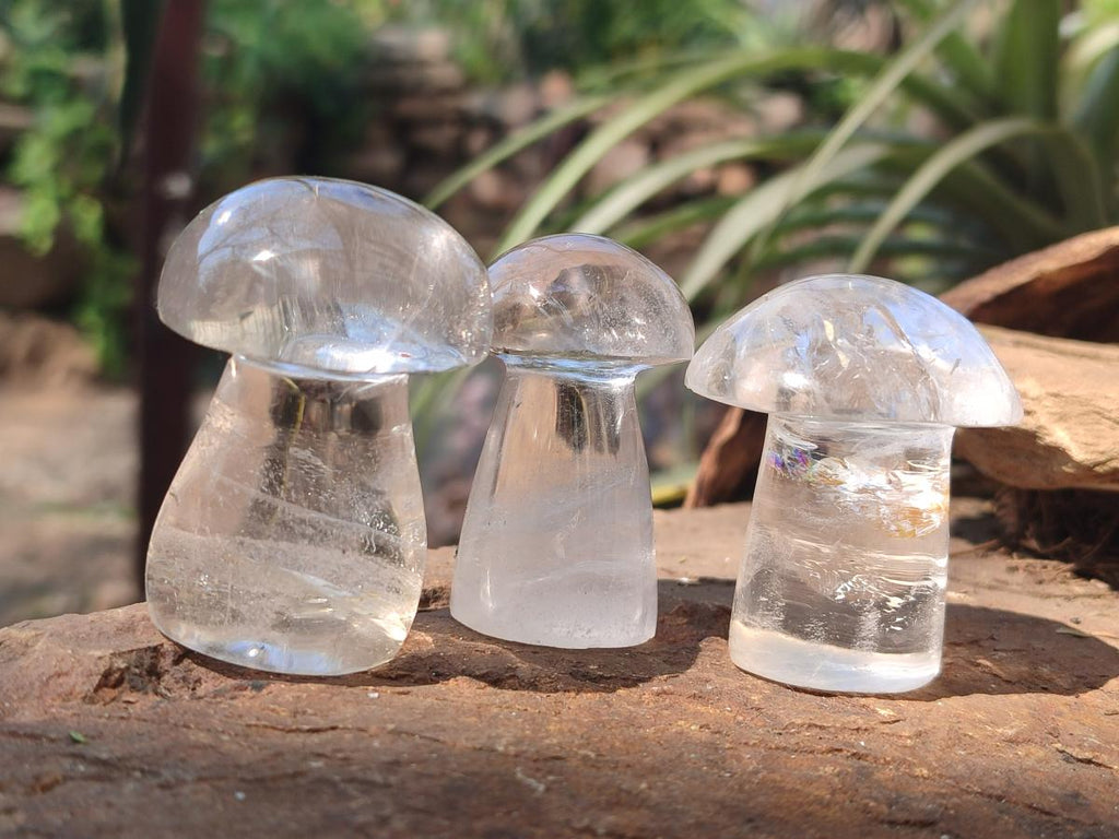 Polished Clear Quartz Mushrooms x 12 From Madagascar