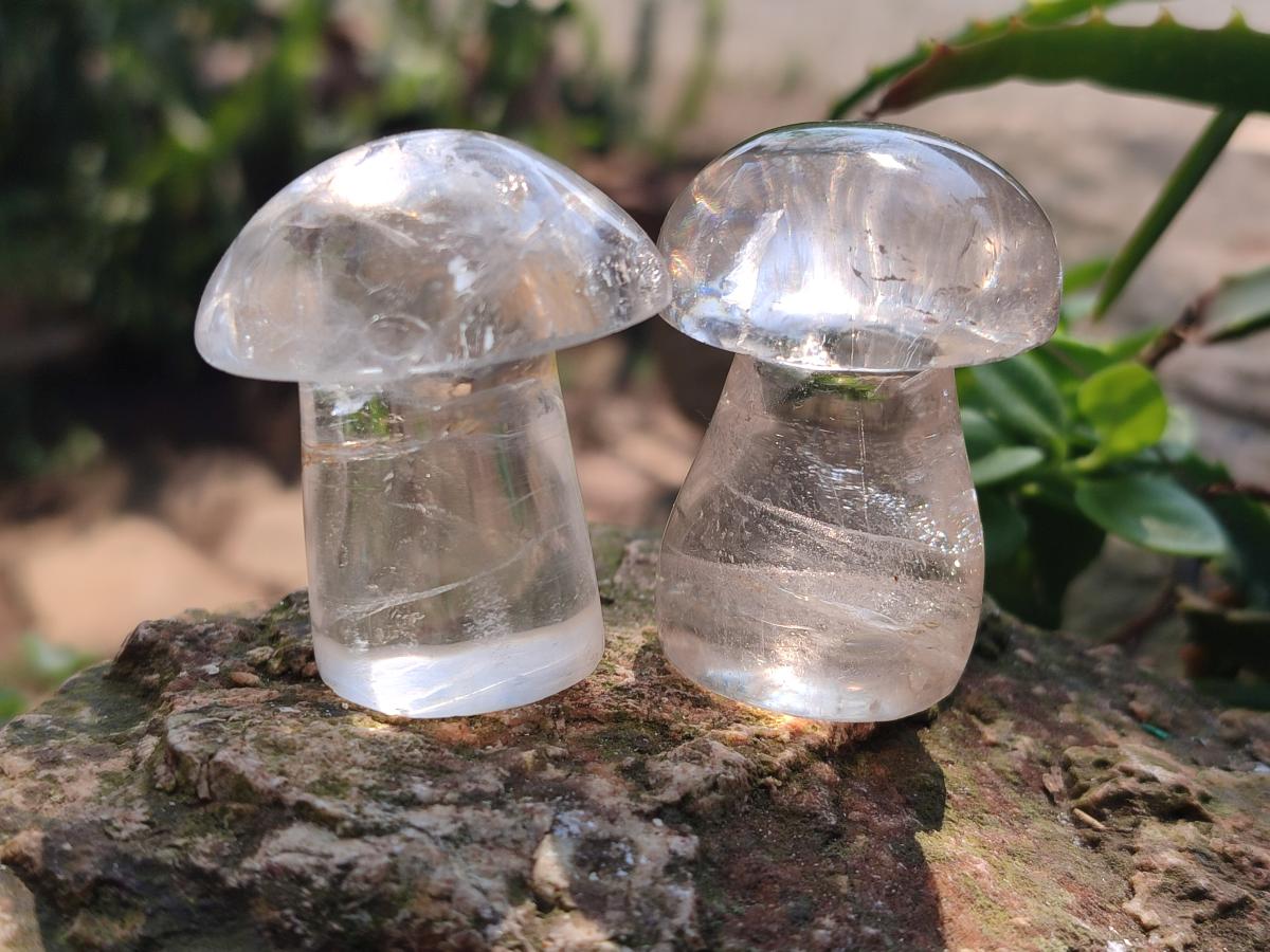 Polished Clear Quartz Mushrooms x 12 From Madagascar