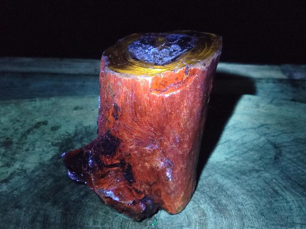Polished Large One Side Dadoxylon Petrified Wood Tree Branch x 1 From Gokwe, Zimbabwe