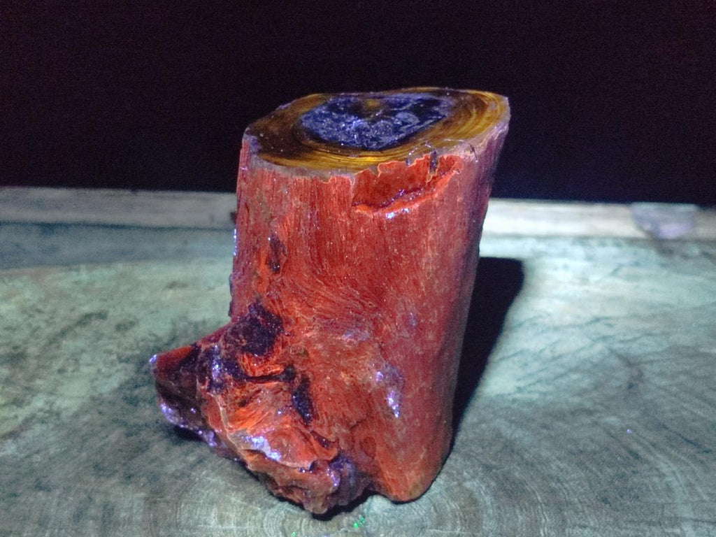 Polished Large One Side Dadoxylon Petrified Wood Tree Branch x 1 From Gokwe, Zimbabwe