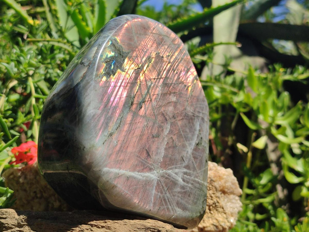 Polished Large Rare Purple Sunset Flash Labradorite Standing Display Piece x 1 From Madagascar