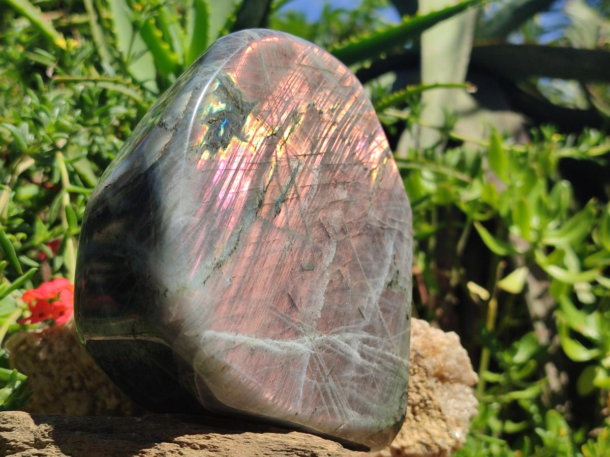 Polished Large Rare Purple Sunset Flash Labradorite Standing Display Piece x 1 From Madagascar
