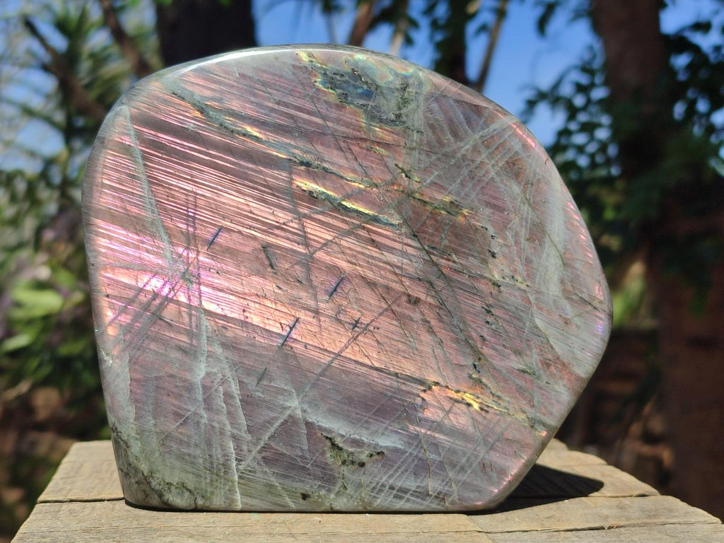 Polished Large Rare Purple Sunset Flash Labradorite Standing Display Piece x 1 From Madagascar