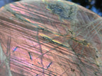 Polished Large Rare Purple Sunset Flash Labradorite Standing Display Piece x 1 From Madagascar