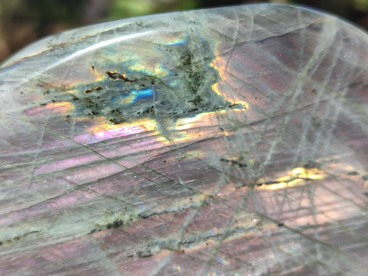 Polished Large Rare Purple Sunset Flash Labradorite Standing Display Piece x 1 From Madagascar