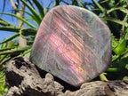 Polished Large Rare Purple Sunset Flash Labradorite Standing Display Piece x 1 From Madagascar