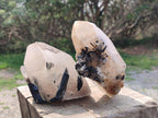 Natural Smokey Quartz Crystals with Associated Minerals x 4 From Erongo, Namibia