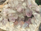 Natural XL Jacaranda Amethyst Cluster x 1 From Mumbwa, Zambia