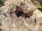 Natural XL Jacaranda Amethyst Cluster x 1 From Mumbwa, Zambia