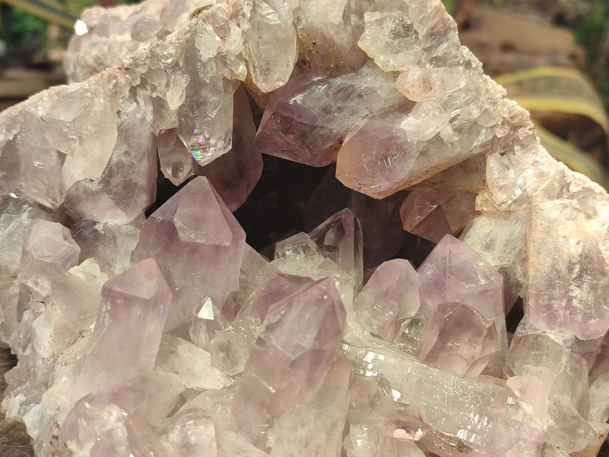 Natural XL Jacaranda Amethyst Cluster x 1 From Mumbwa, Zambia