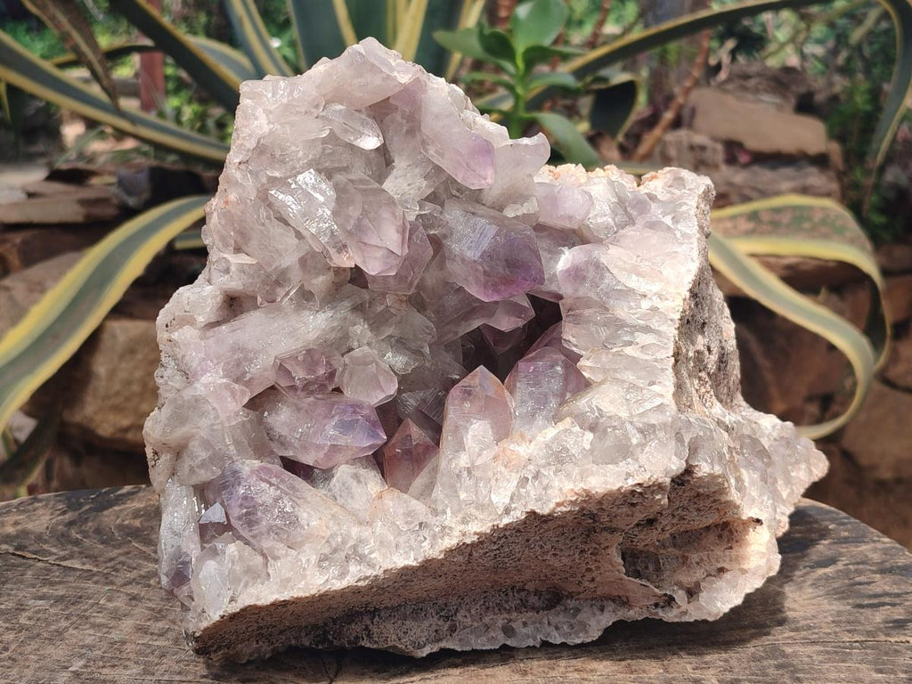 Natural XL Jacaranda Amethyst Cluster x 1 From Mumbwa, Zambia