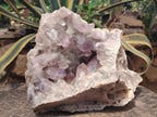 Natural XL Jacaranda Amethyst Cluster x 1 From Mumbwa, Zambia