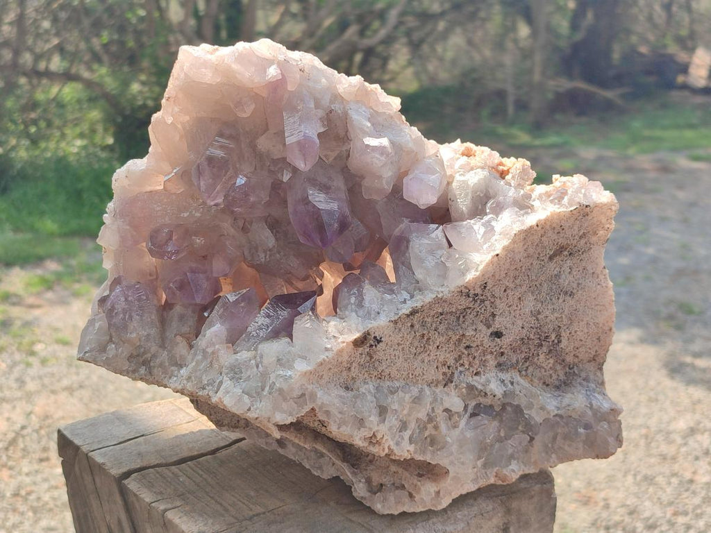 Natural XL Jacaranda Amethyst Cluster x 1 From Mumbwa, Zambia