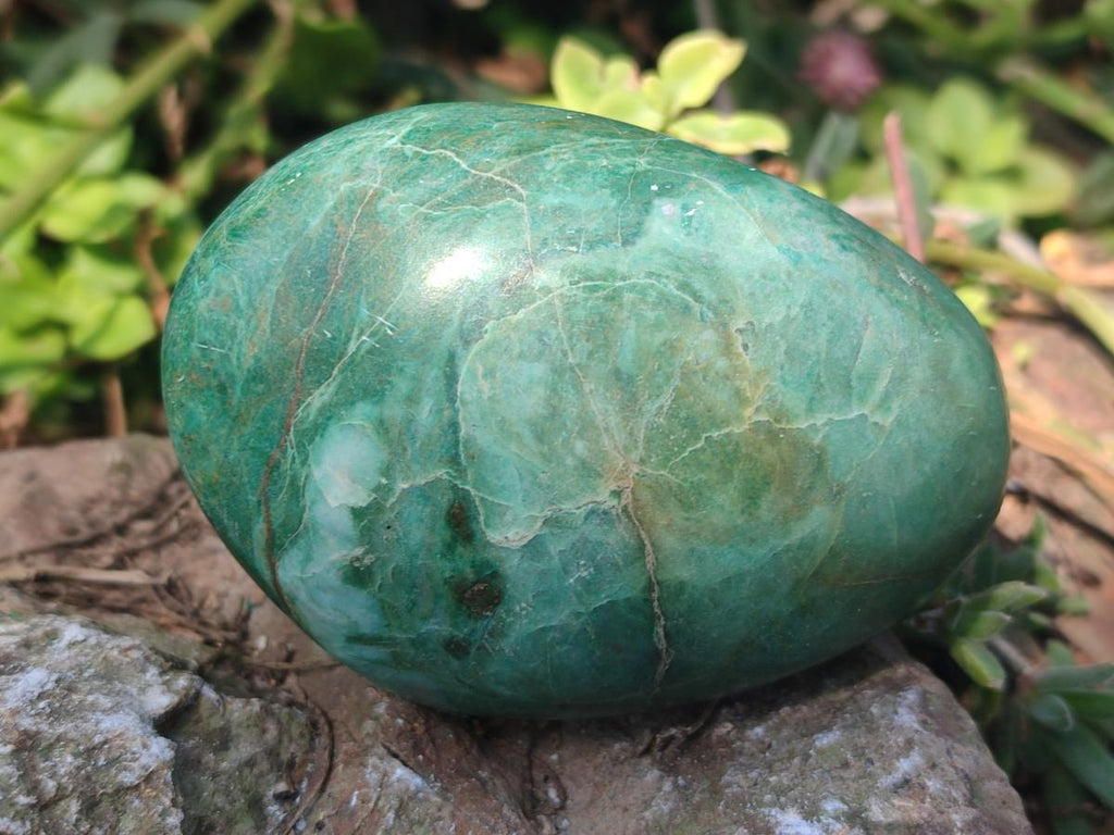 Polished Chrome Verdite Gemstone Galets  x 12 From Zimbabwe