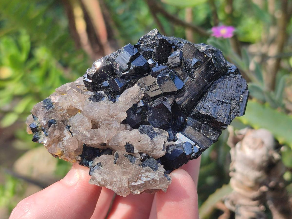 Natural Schorl Black Tourmaline Crystals and Clusters with Associated Minerals x 12 From Erongo, Namibia