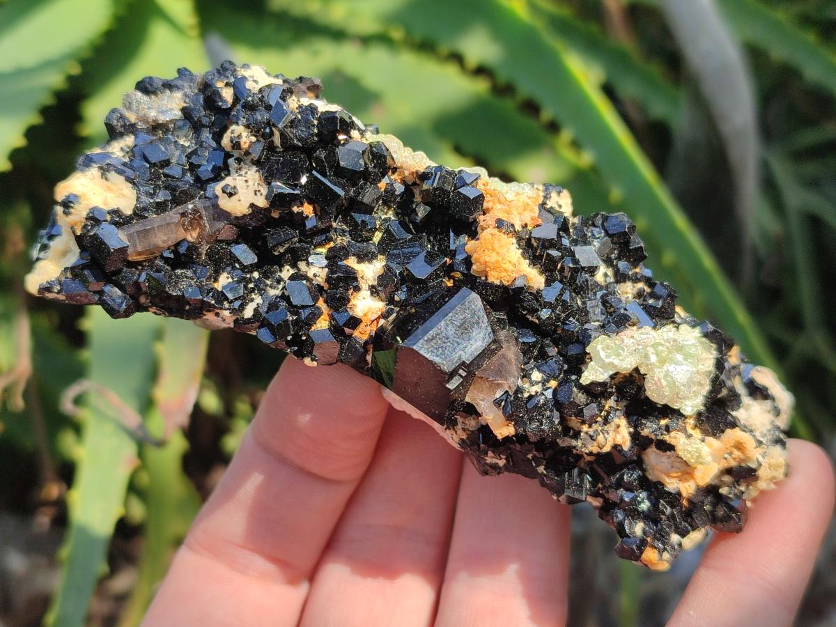 Natural Schorl Black Tourmaline Crystals and Clusters with Associated Minerals x 12 From Erongo, Namibia