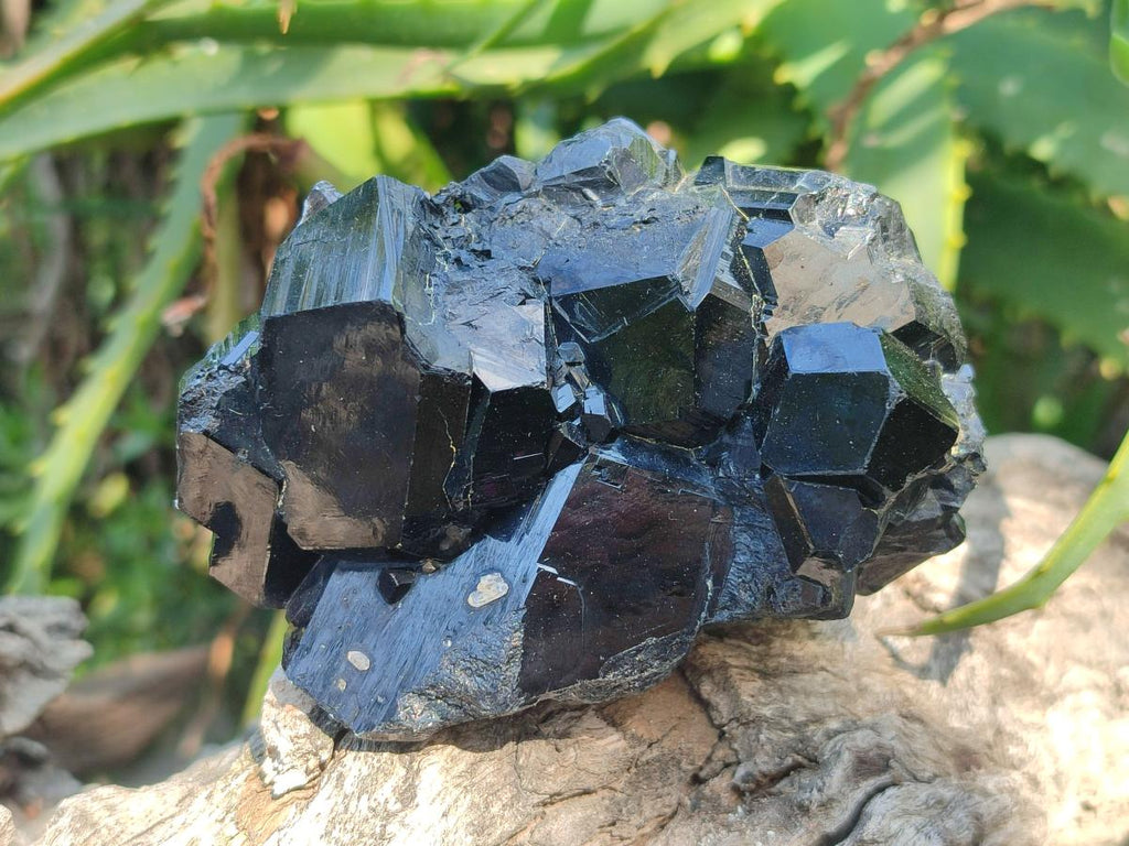 Natural Schorl Black Tourmaline Crystals and Clusters with Associated Minerals x 12 From Erongo, Namibia