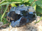 Natural Schorl Black Tourmaline Crystals and Clusters with Associated Minerals x 12 From Erongo, Namibia