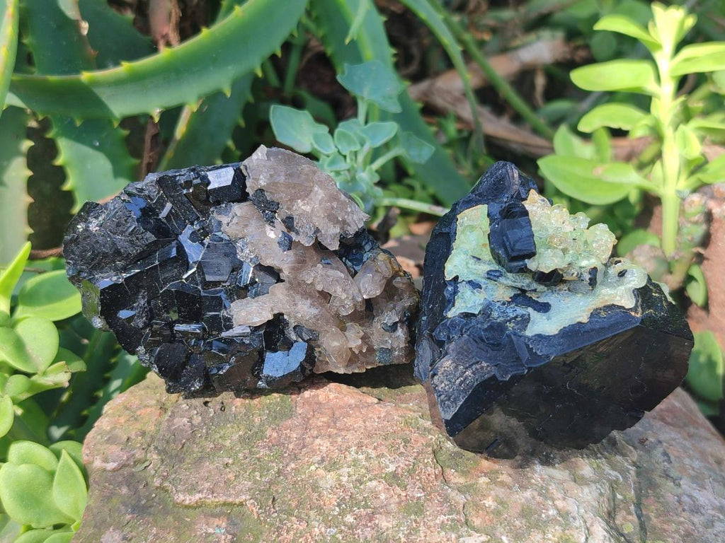 Natural Schorl Black Tourmaline Crystals and Clusters with Associated Minerals x 12 From Erongo, Namibia
