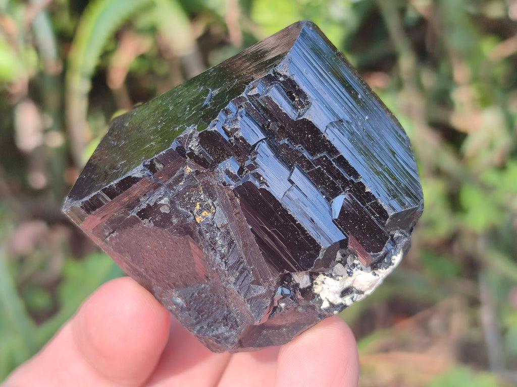Natural Schorl Black Tourmaline Crystals and Clusters with Associated Minerals x 12 From Erongo, Namibia