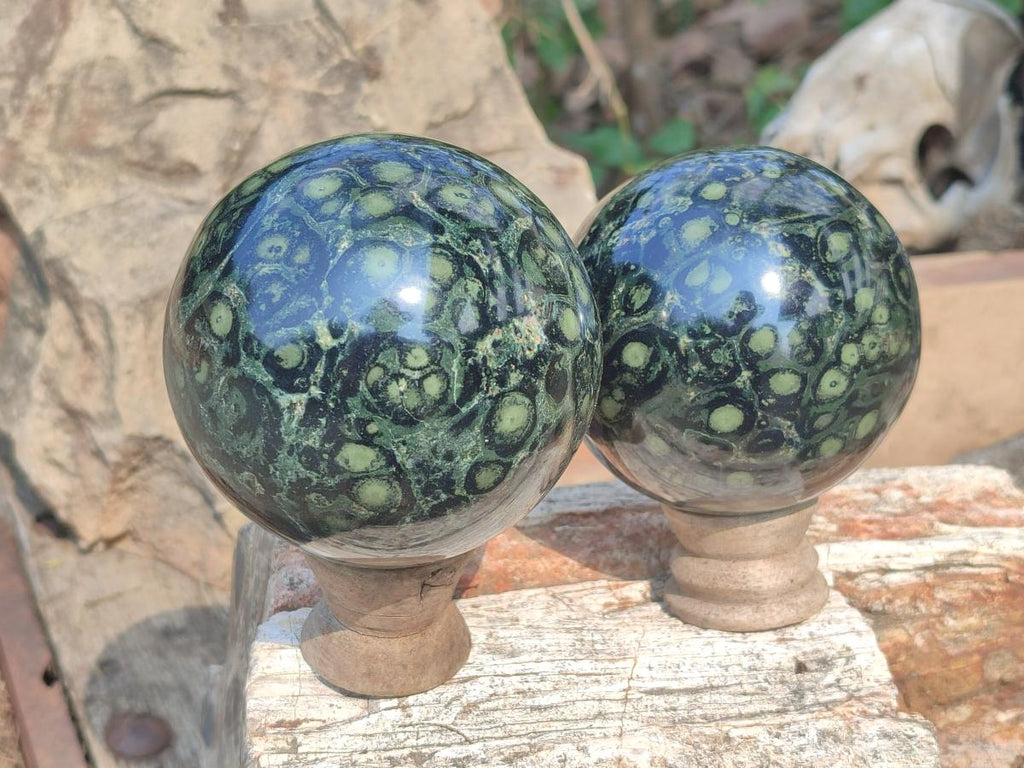 Polished Stromatolite "Kambamba Jasper" Spheres x 2 From Katsepy, Madagascar