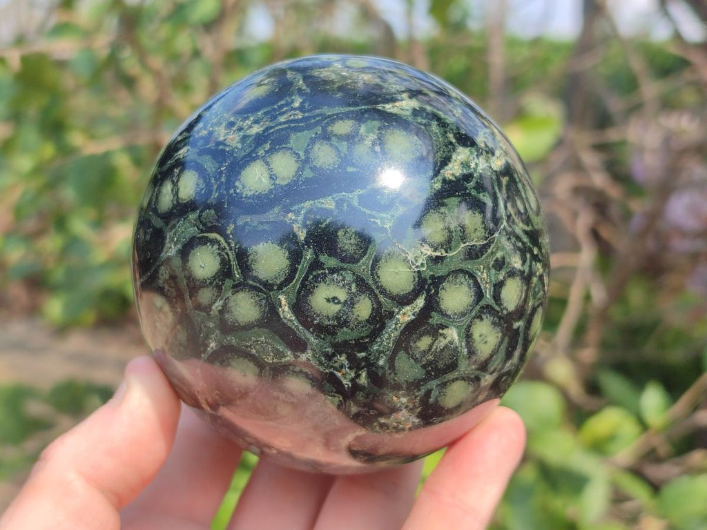 Polished Stromatolite "Kambamba Jasper" Spheres x 2 From Katsepy, Madagascar
