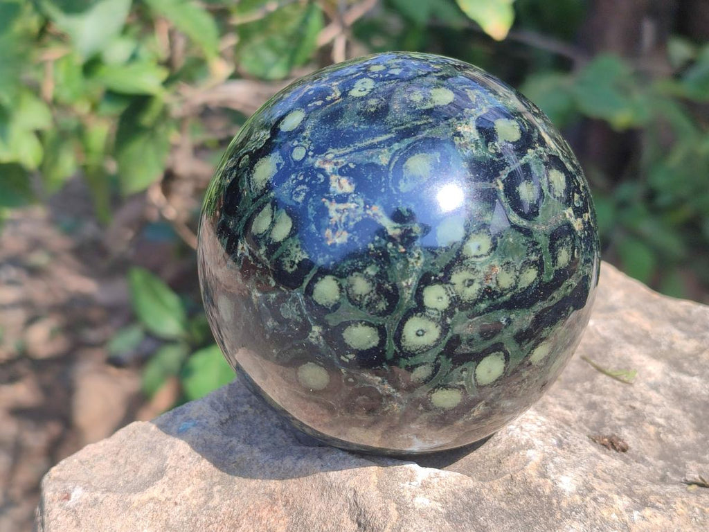 Polished Stromatolite "Kambamba Jasper" Spheres x 2 From Katsepy, Madagascar