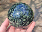 Polished Stromatolite "Kambamba Jasper" Spheres x 2 From Katsepy, Madagascar
