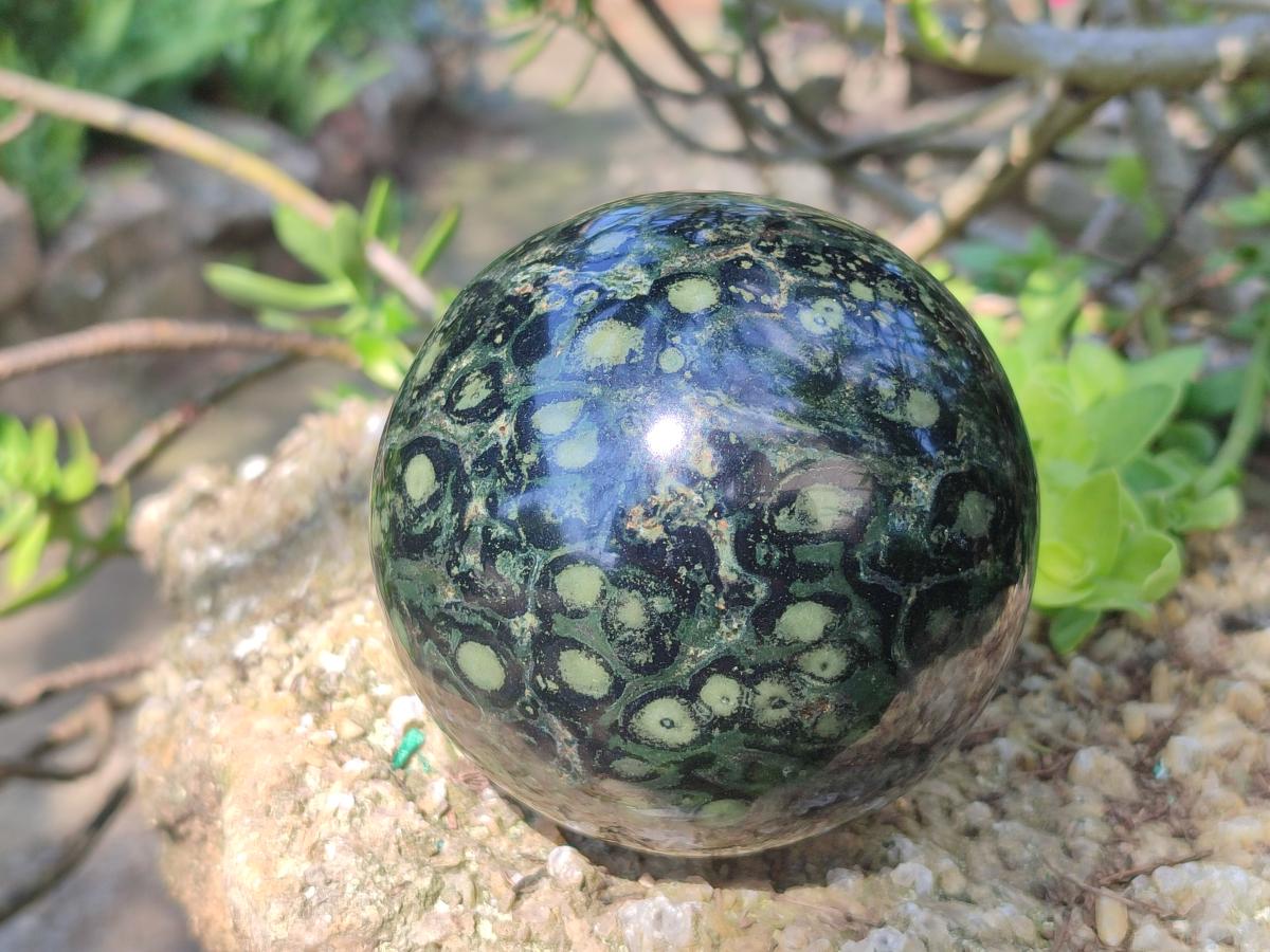 Polished Stromatolite "Kambamba Jasper" Spheres x 2 From Katsepy, Madagascar