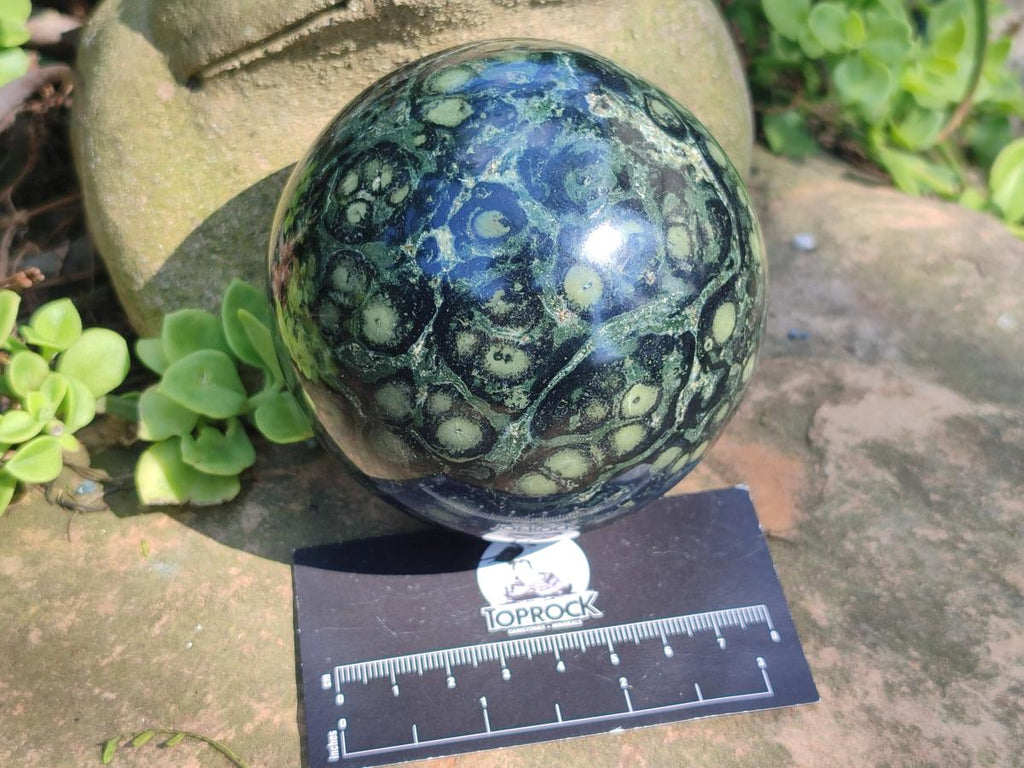 Polished Stromatolite "Kambamba Jasper" Spheres x 2 From Katsepy, Madagascar