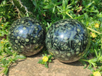 Polished Stromatolite "Kambamba Jasper" Spheres x 2 From Katsepy, Madagascar