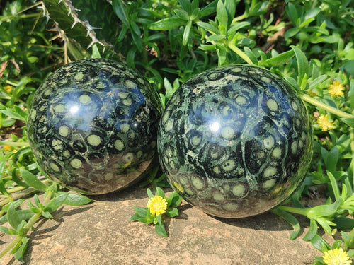 Polished Stromatolite "Kambamba Jasper" Spheres x 2 From Katsepy, Madagascar