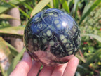 Polished Stromatolite "Kambamba Jasper" Spheres x 2 From Katsepy, Madagascar