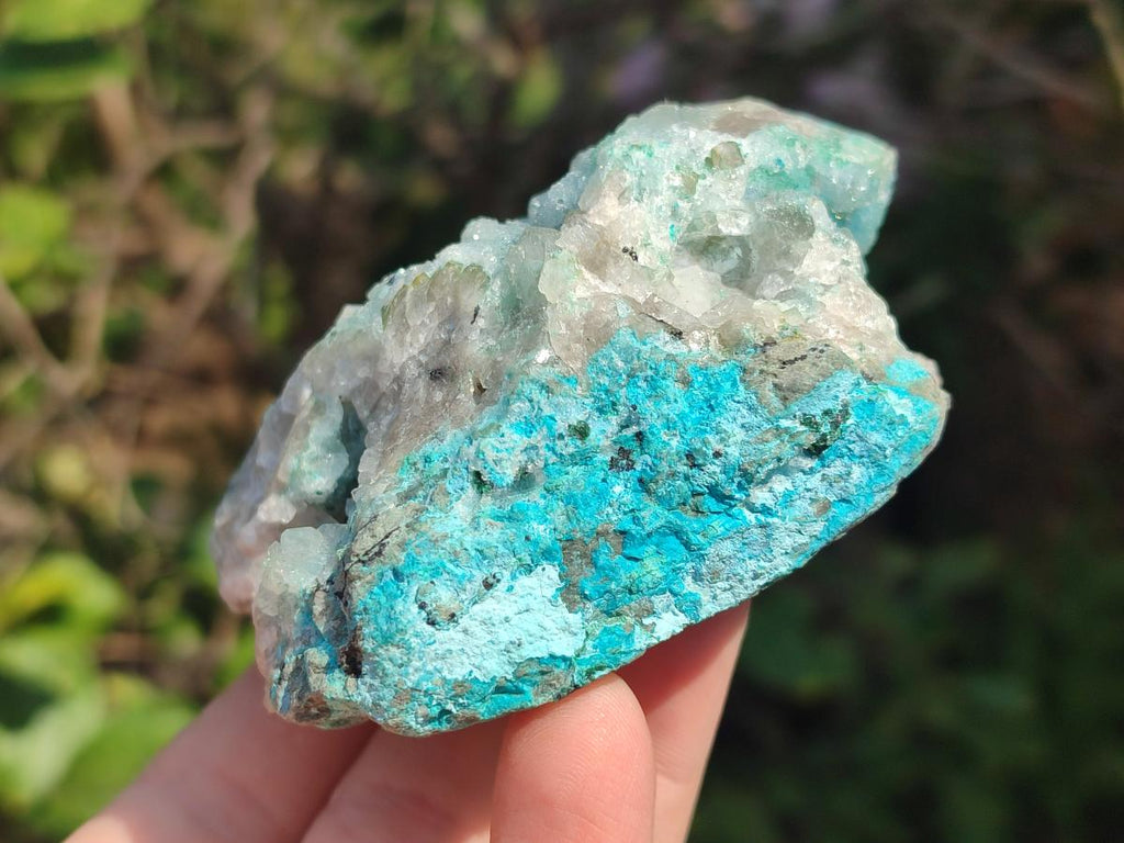 Natural Drusy Coated Chrysocolla with Malachite and Heterogenite Specimens x 6 From Lupoto Mine, Congo