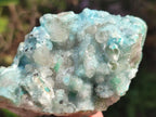 Natural Drusy Coated Chrysocolla with Malachite and Heterogenite Specimens x 6 From Lupoto Mine, Congo