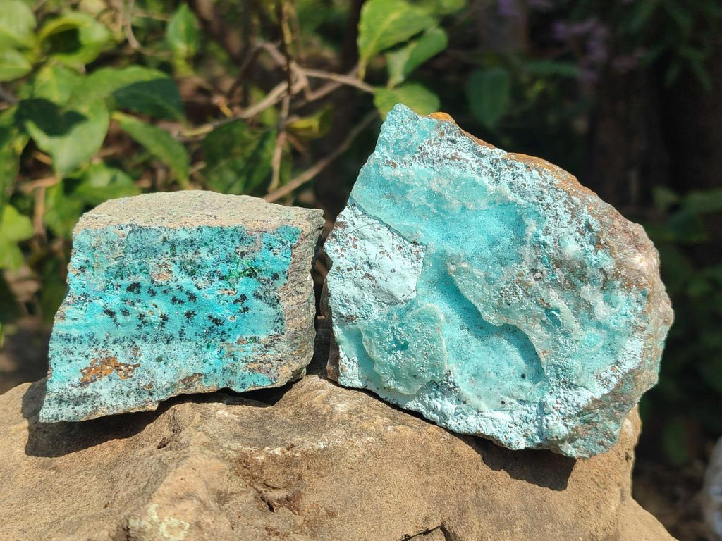 Natural Drusy Coated Chrysocolla with Malachite and Heterogenite Specimens x 6 From Lupoto Mine, Congo