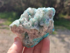 Natural Drusy Coated Chrysocolla with Malachite and Heterogenite Specimens x 6 From Lupoto Mine, Congo