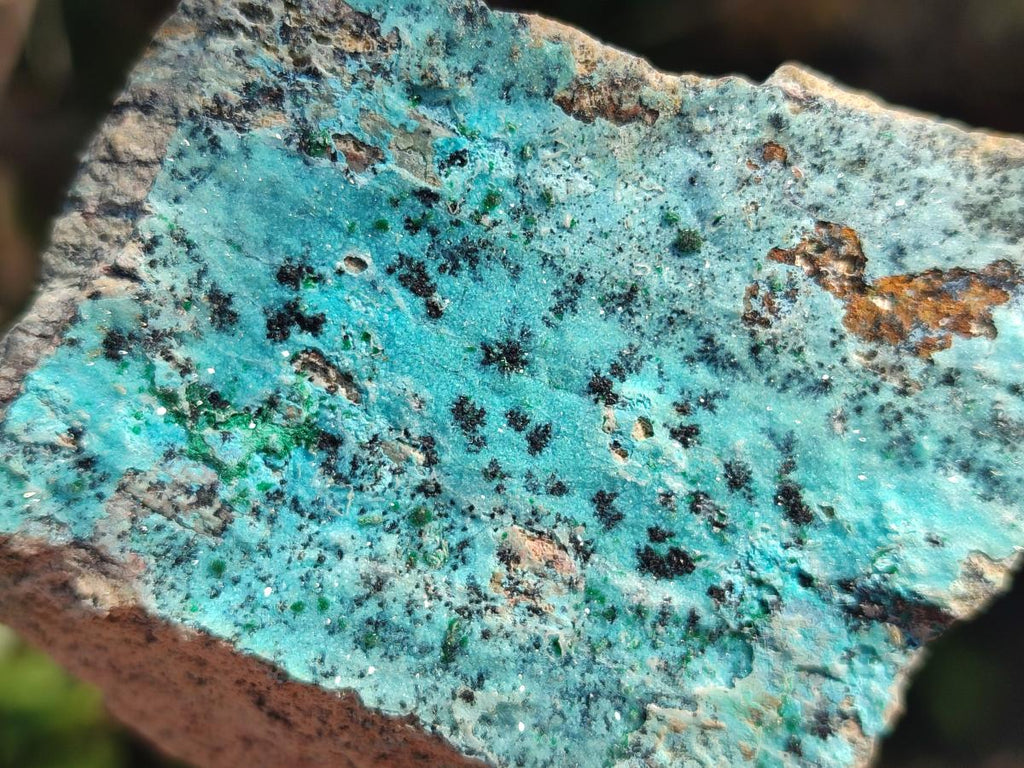 Natural Drusy Coated Chrysocolla with Malachite and Heterogenite Specimens x 6 From Lupoto Mine, Congo