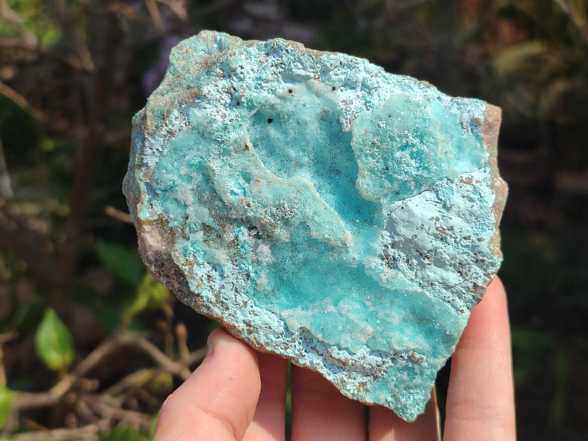 Natural Drusy Coated Chrysocolla with Malachite and Heterogenite Specimens x 6 From Lupoto Mine, Congo