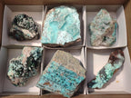 Natural Drusy Coated Chrysocolla with Malachite and Heterogenite Specimens x 6 From Lupoto Mine, Congo