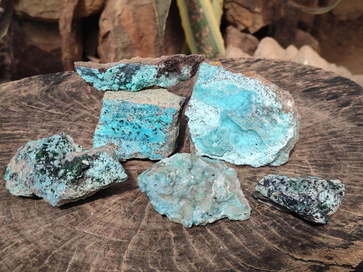 Natural Drusy Coated Chrysocolla with Malachite and Heterogenite Specimens x 6 From Lupoto Mine, Congo